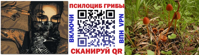 площадка состав  Солигалич  Галлюциногенные грибы Cubensis  продажа наркотиков 